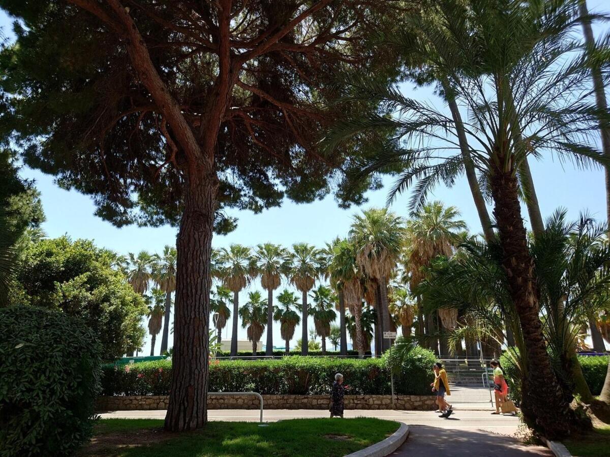 Sunrise & Sunset Palm Beach Croisette كان المظهر الخارجي الصورة